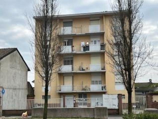 appartamento in vendita a Robbio