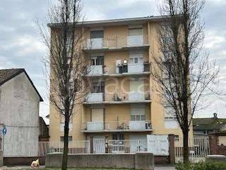 appartamento in vendita a Robbio