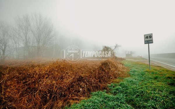 terreno agricolo in vendita a Robbio