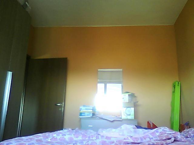 appartamento in vendita a Robbio