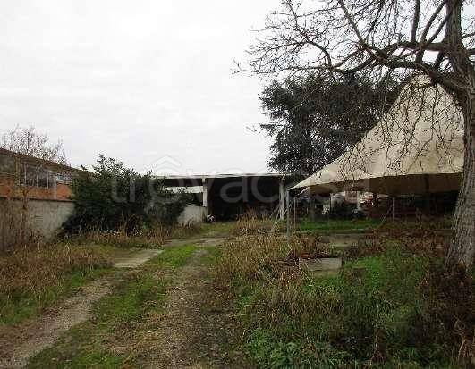 locale commerciale in vendita a Robbio