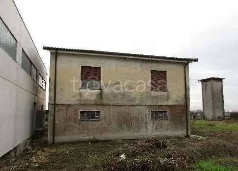 casa indipendente in vendita a Robbio