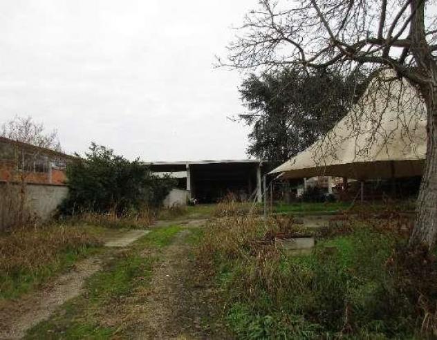 locale commerciale in vendita a Robbio