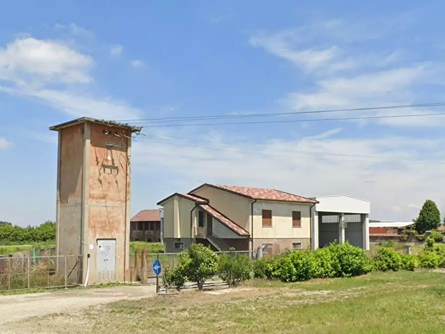 terreno agricolo in vendita a Robbio