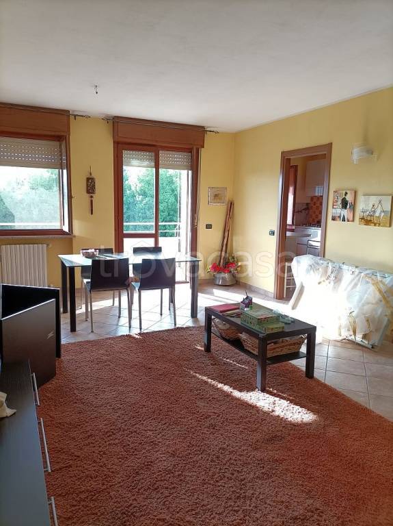 appartamento in vendita a Robbio