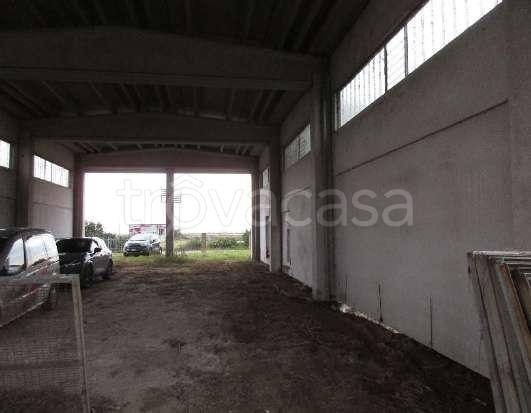 locale commerciale in vendita a Robbio