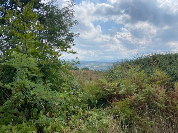 locale di sgombero in vendita a Rocca de' Giorgi