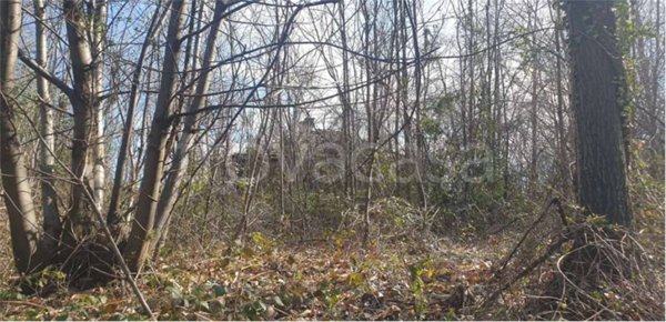 terreno agricolo in vendita a Levone