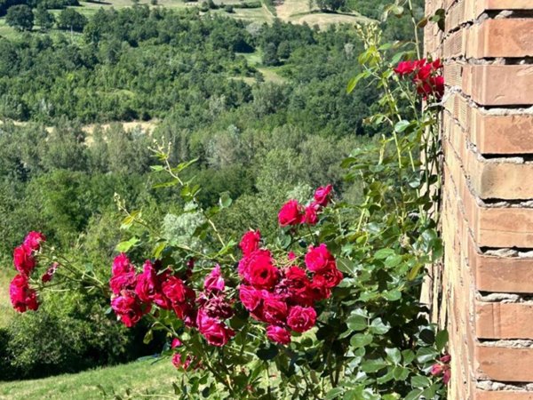 intera palazzina in vendita a Romagnese in zona Ozio