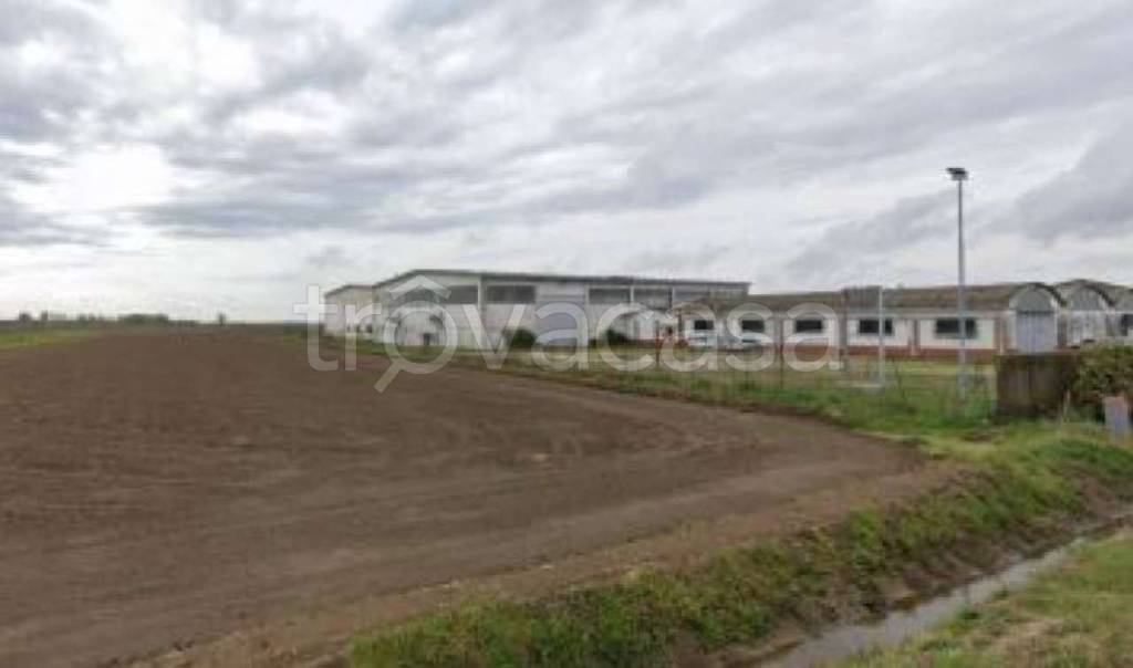 locale commerciale in vendita a Rosasco