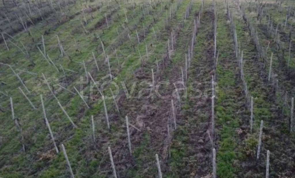 terreno agricolo in vendita a Rovescala in zona Pieve