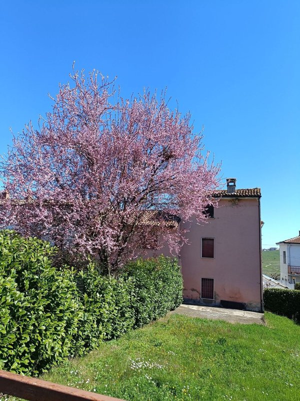 pentavano in vendita a Rovescala