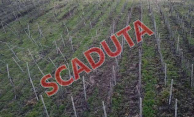 terreno agricolo in vendita a Rovescala in zona Pieve