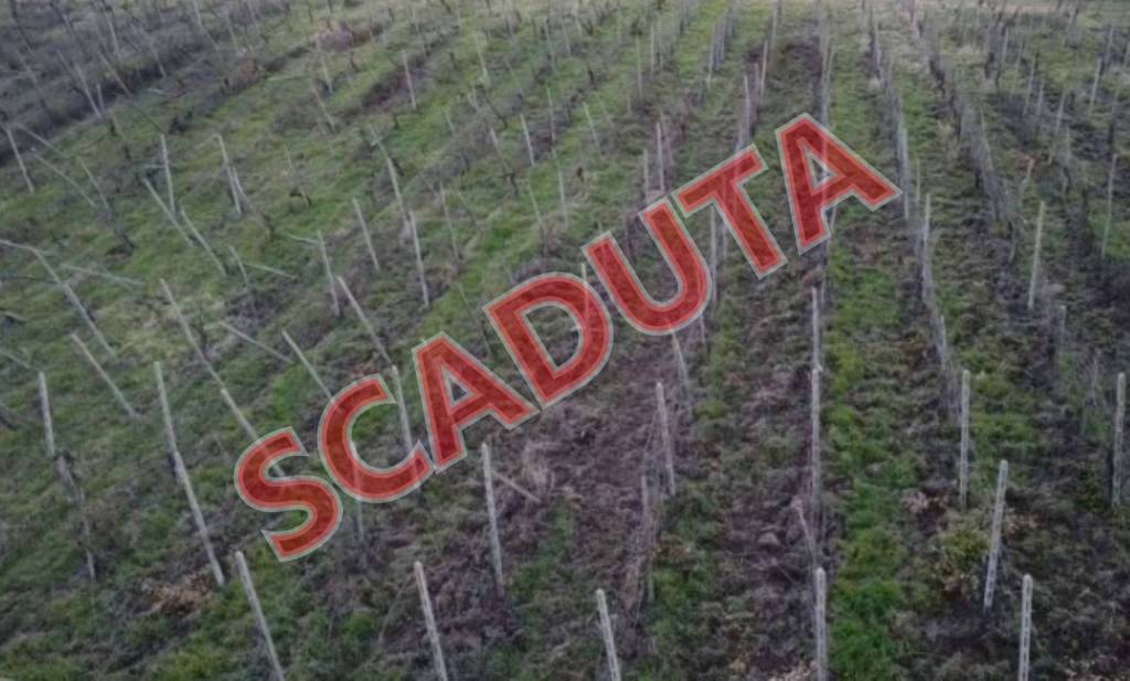 terreno agricolo in vendita a Rovescala in zona Pieve