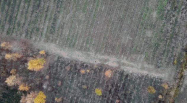 terreno agricolo in vendita a Rovescala in zona Pieve