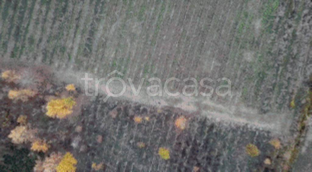 terreno agricolo in vendita a Rovescala in zona Pieve
