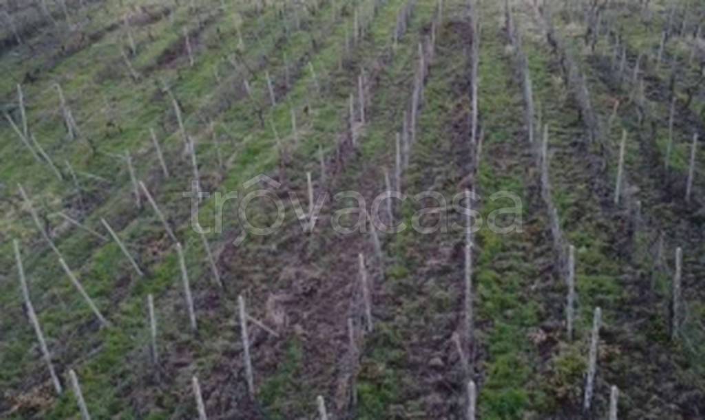 terreno edificabile in vendita a Rovescala in zona Pieve