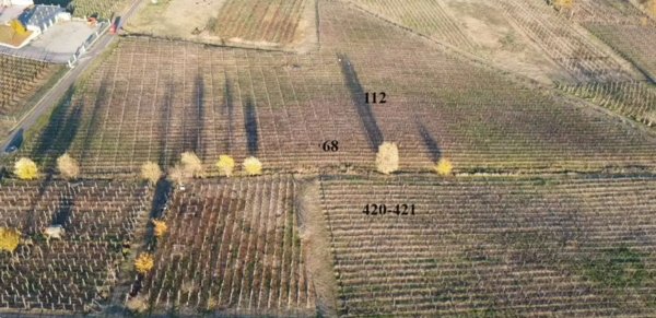 terreno agricolo in vendita a Rovescala in zona Pieve