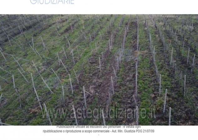 terreno agricolo in vendita a Rovescala in zona Pieve