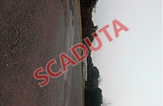 pentavano in vendita a San Cipriano Po