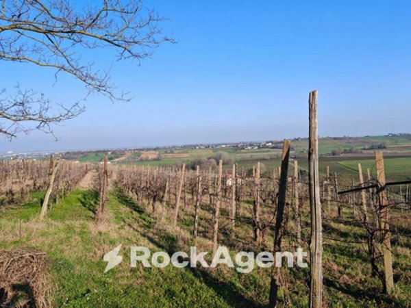 terreno agricolo in vendita a San Damiano al Colle in zona Camporello