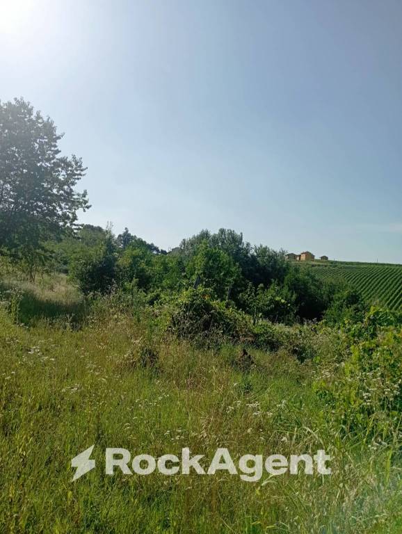 terreno agricolo in vendita a San Damiano al Colle