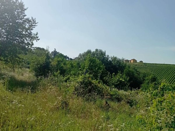 terreno agricolo in vendita a San Damiano al Colle