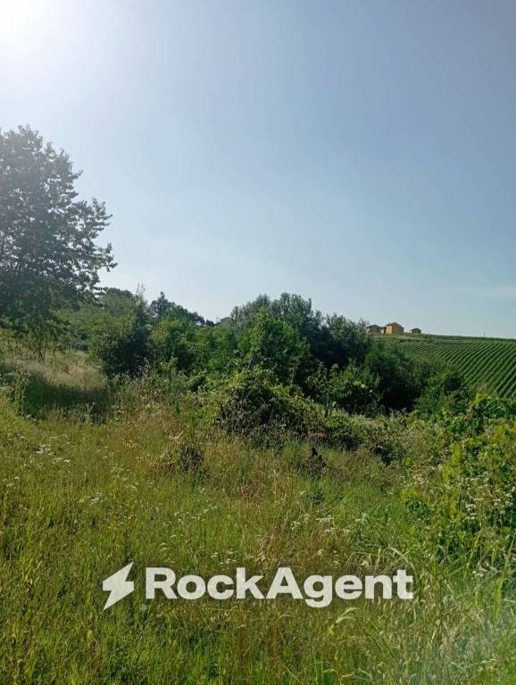 terreno agricolo in vendita a San Damiano al Colle