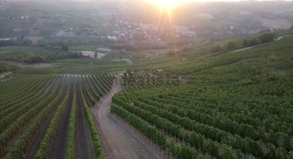 quadrivano in vendita a San Damiano al Colle