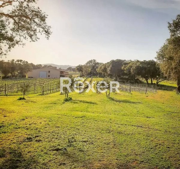 quadrivano in vendita a San Damiano al Colle