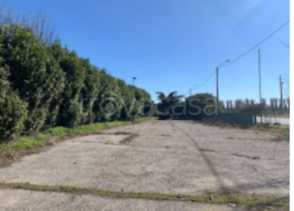 terreno agricolo in vendita a San Giorgio di Lomellina