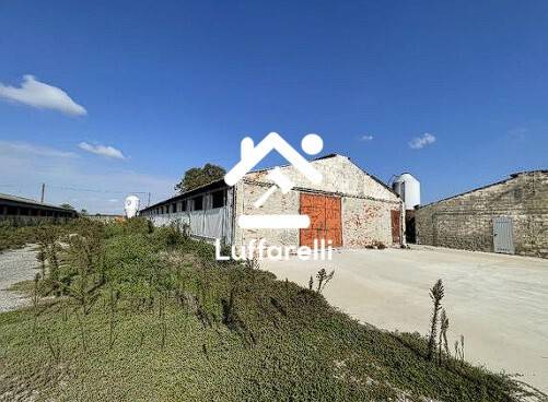 terreno agricolo in vendita a San Giorgio di Lomellina