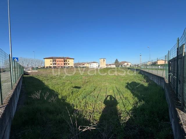 terreno agricolo in vendita a San Martino Siccomario
