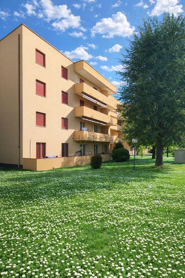 appartamento in vendita a San Martino Siccomario