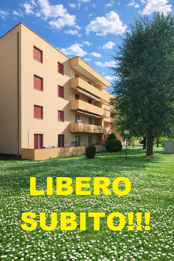 appartamento in vendita a San Martino Siccomario in zona Madonna