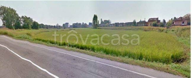 terreno agricolo in vendita a Sannazzaro de' Burgondi