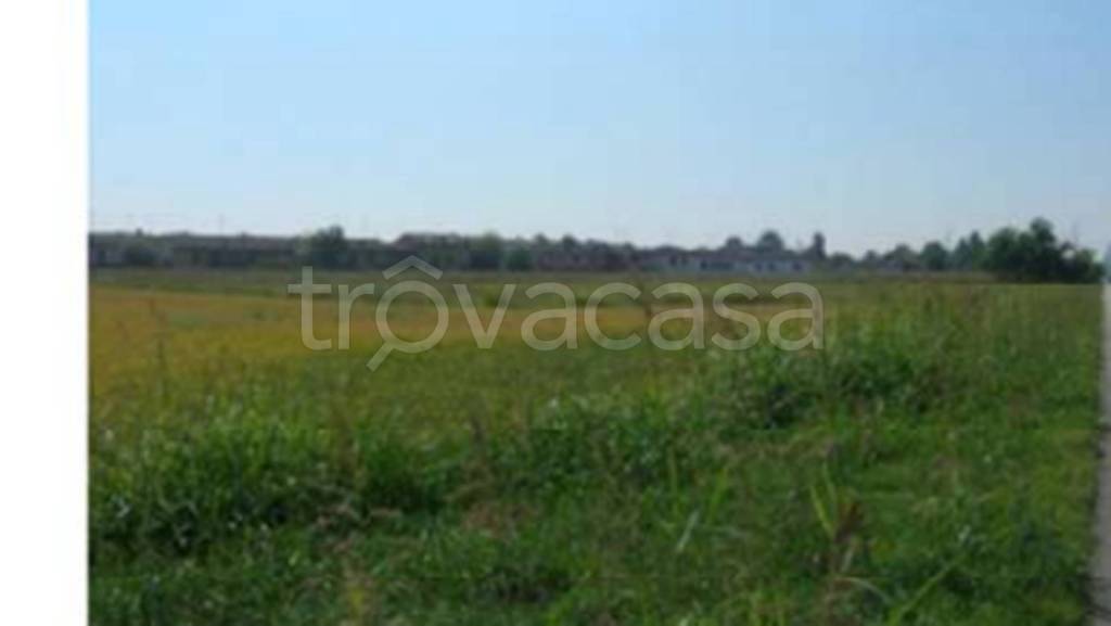 terreno agricolo in vendita a Sannazzaro de' Burgondi