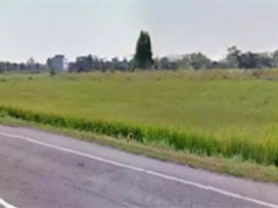terreno edificabile in vendita a Sannazzaro de' Burgondi