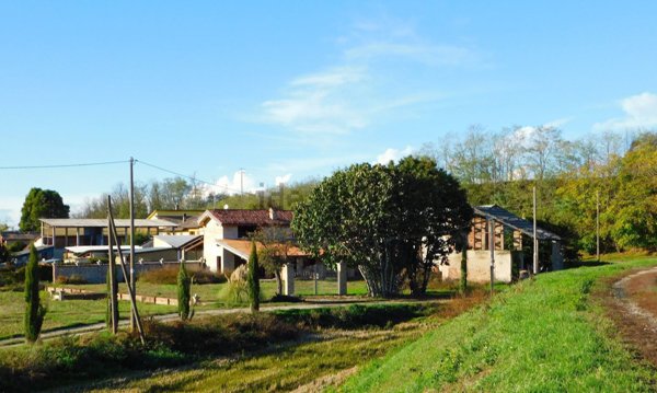 casa indipendente in vendita a Sannazzaro de' Burgondi in zona Mezzano