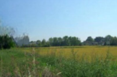 terreno edificabile in vendita a Sannazzaro de' Burgondi