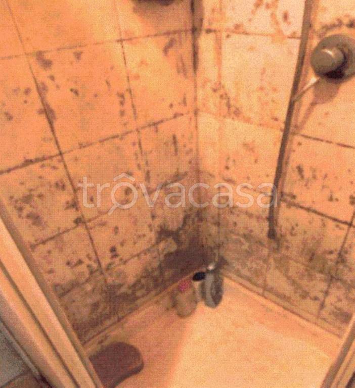 appartamento in vendita a Santa Cristina e Bissone in zona Santa Cristina