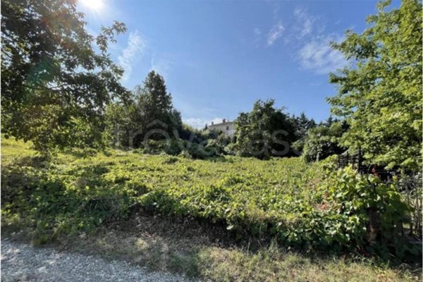 terreno agricolo in vendita a Santa Giuletta