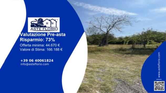 terreno agricolo in vendita a Santa Giuletta