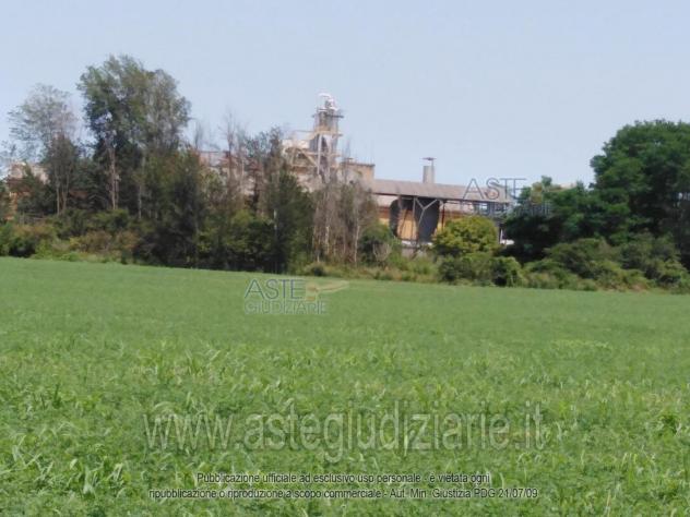 terreno agricolo in vendita a Santa Giuletta