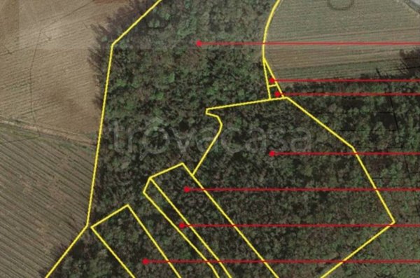 terreno agricolo in vendita a Santa Giuletta