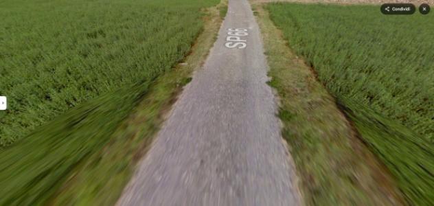 terreno agricolo in vendita a Santa Giuletta