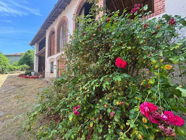 casa indipendente in vendita a Santa Giuletta