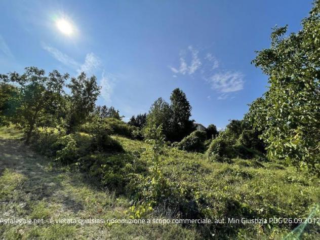 terreno agricolo in vendita a Santa Giuletta