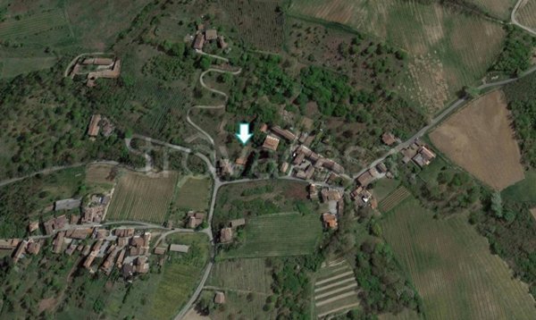 terreno agricolo in vendita a Santa Giuletta