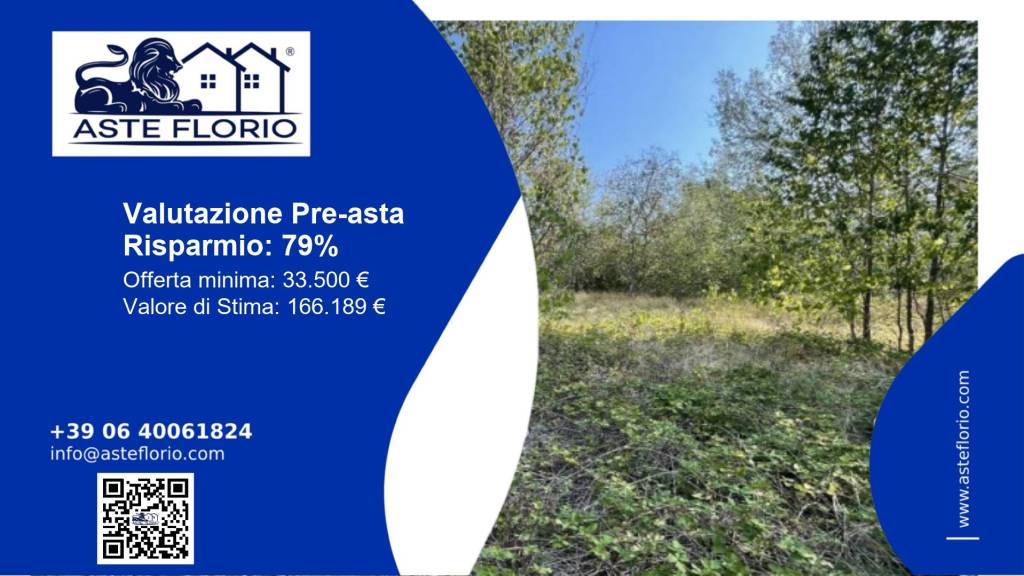 terreno agricolo in vendita a Santa Giuletta